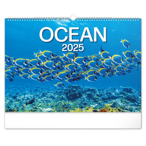 Falinaptár képes  480×330mm Ocean Wildlife Realsystem 2026.