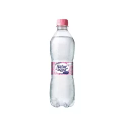 Ásványvíz 0,5l mentes Natur Aqua DRS