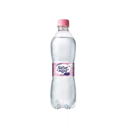 Ásványvíz 0,5l mentes Natur Aqua DRS