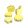 EV6C16FLOWER
